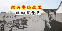 public.tpt.tj.cn中国绍兴-鲁迅故里旅游风景区