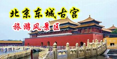 男人厨房插女人逼逼中国北京-东城古宫旅游风景区